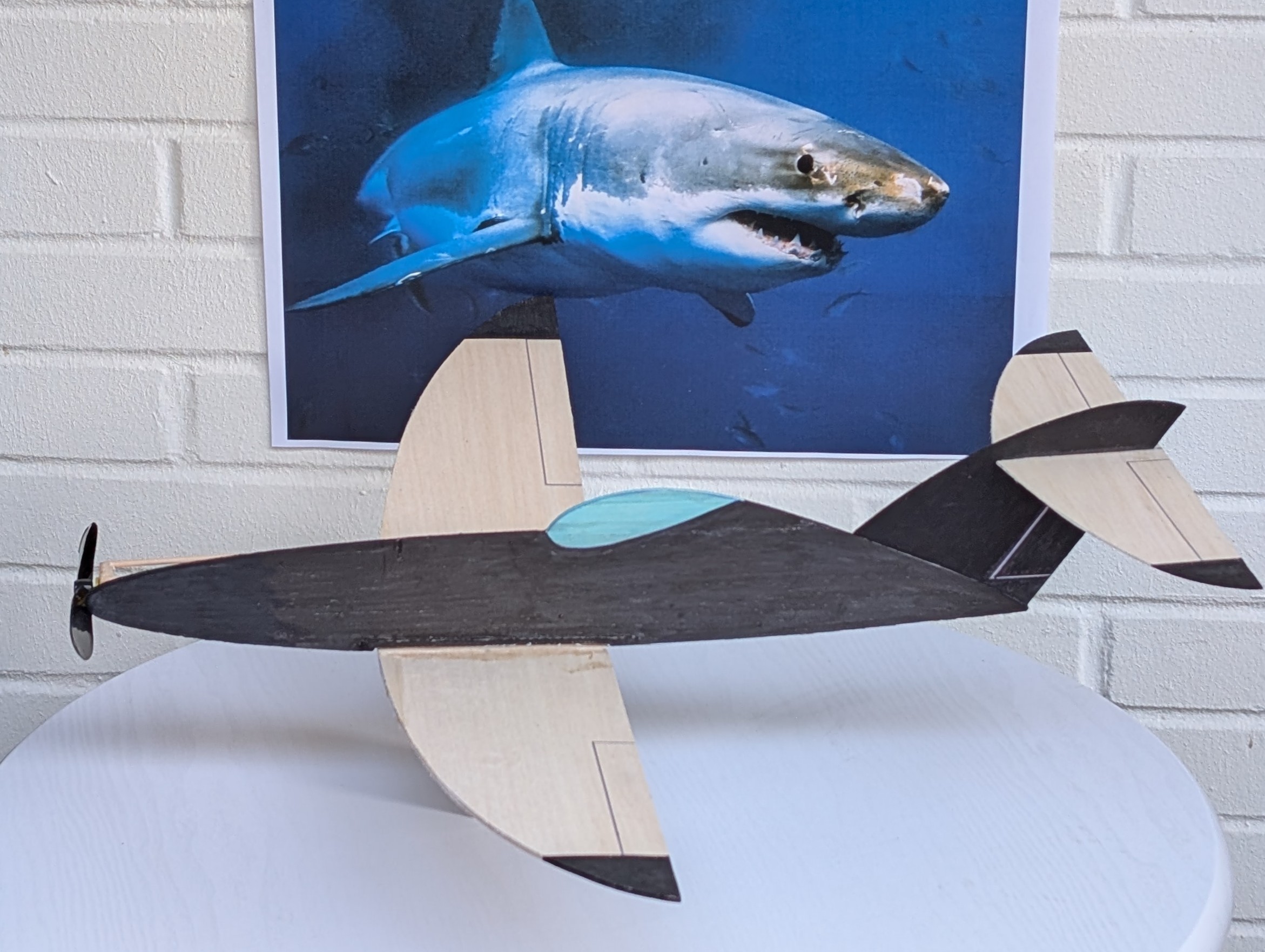 3035 Tubarão RPU 30